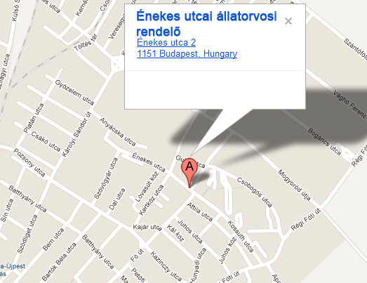 Az énekes utcai állatorvosi rendelő térképe